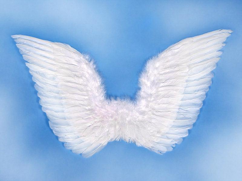 Engelsflügel, weiß, 75 x 45cm - FeierGlanz