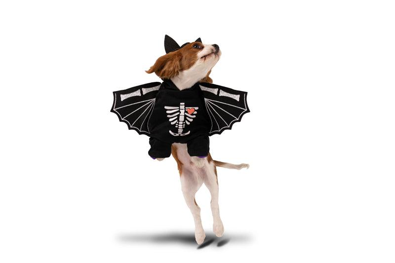 Fledermaus-Hundekostüm, 45x35cm - FeierGlanz